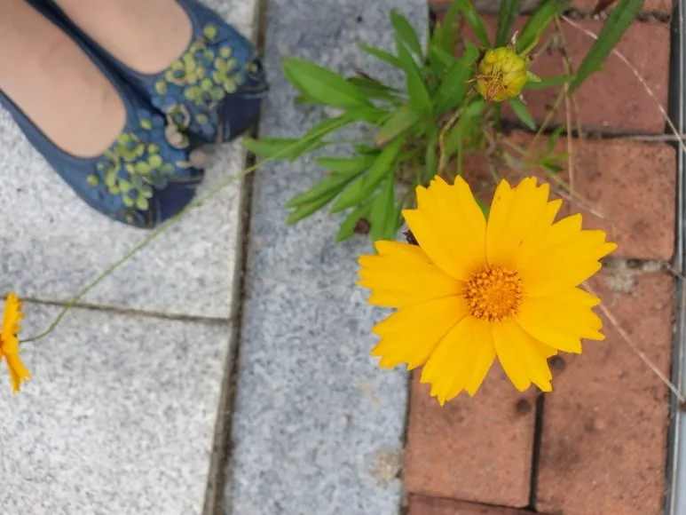 20230914%EF%BC%BF144054.jpg?type=w773