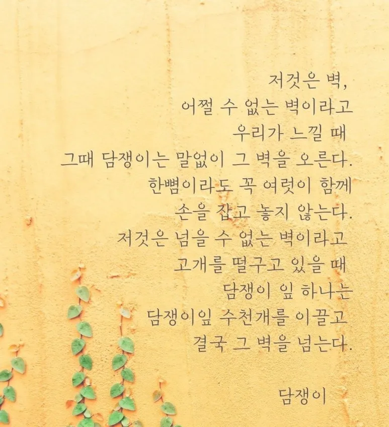 20231228.jpg?type=w773