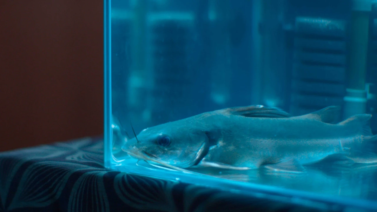 sr973orz5uj4xl0qtpde7gfsh6ws