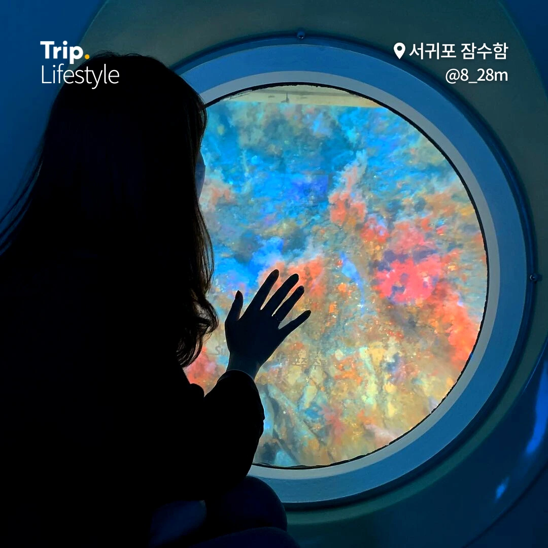 %EC%A0%9C%EC%A3%BC%EC%97%90%EC%84%9C%EB%86%80%EB%A9%B4%EB%AD%90%ED%95%98%EB%8B%88_03.png?type=w1200