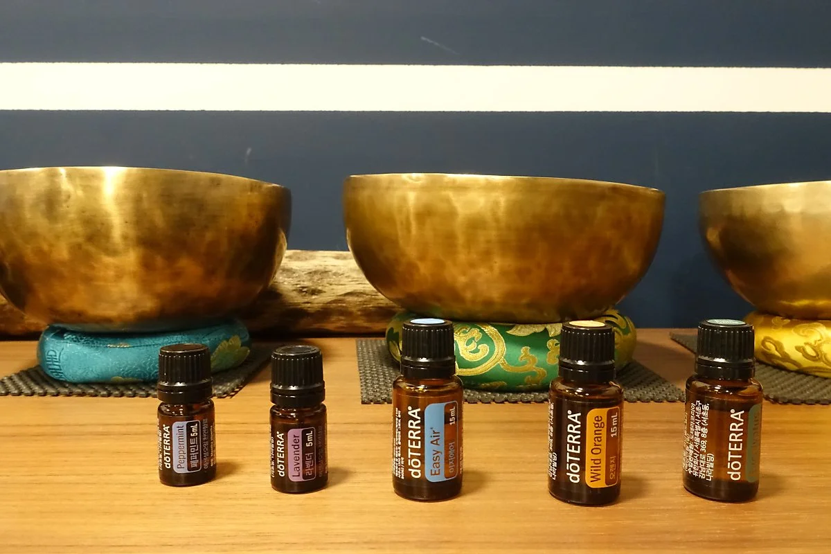 DSC06484.JPG?type=w1200