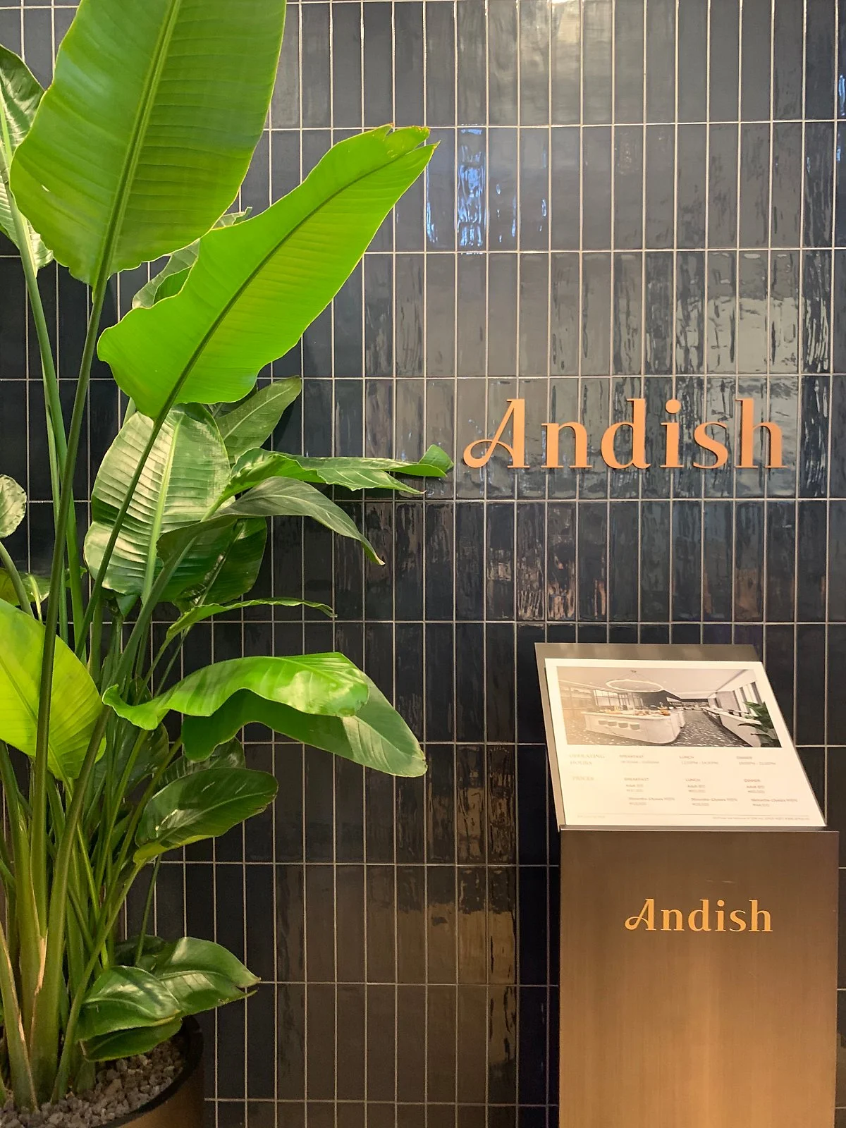 IMG_1799.JPG?type=w1200