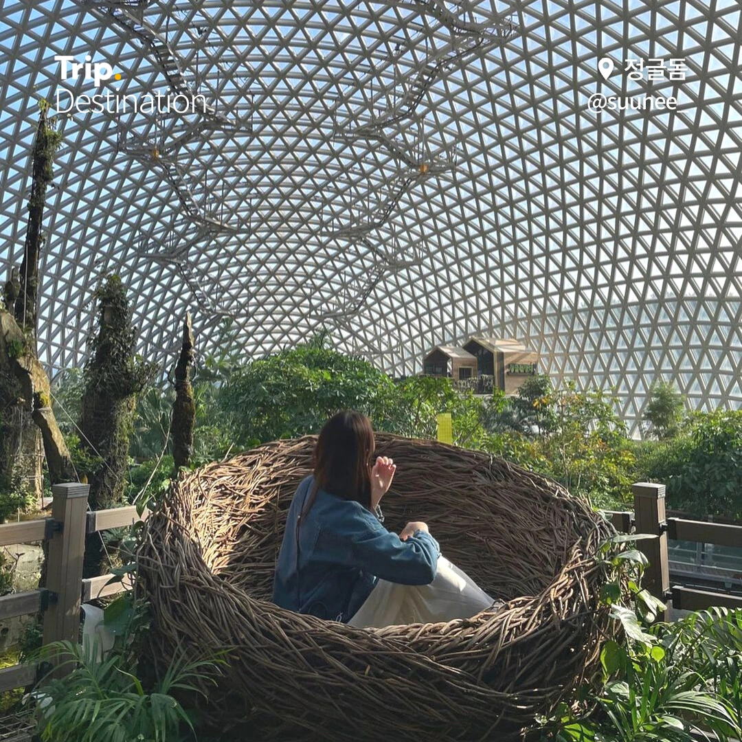 %ED%86%B5%EC%98%81%EA%B1%B0%EC%A0%9C%ED%95%AB%ED%94%8C%EB%AA%A8%EC%9D%8C.zip_04.png?type=w1200