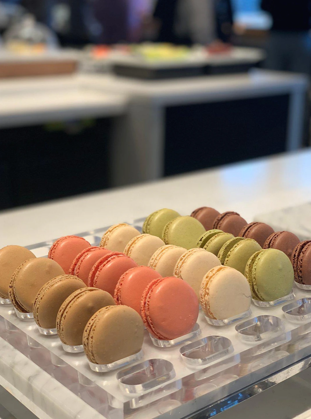 IMG_1802.jpg?type=w1200