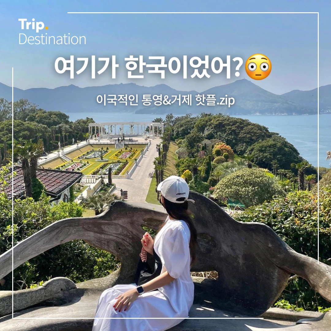 %ED%86%B5%EC%98%81%EA%B1%B0%EC%A0%9C%ED%95%AB%ED%94%8C%EB%AA%A8%EC%9D%8C.zip_01.png?type=w1200