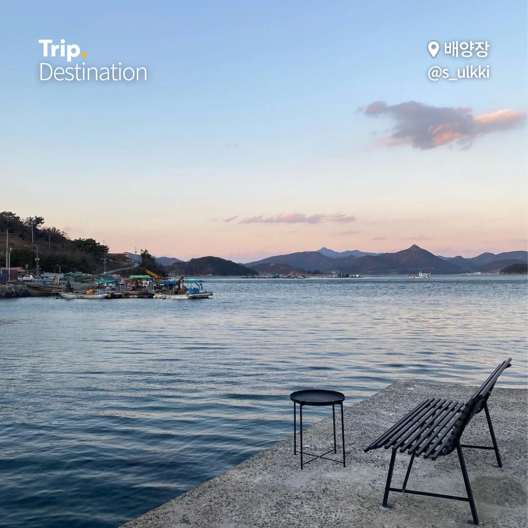 %ED%86%B5%EC%98%81%EA%B1%B0%EC%A0%9C%ED%95%AB%ED%94%8C%EB%AA%A8%EC%9D%8C.zip_05.png?type=w1200