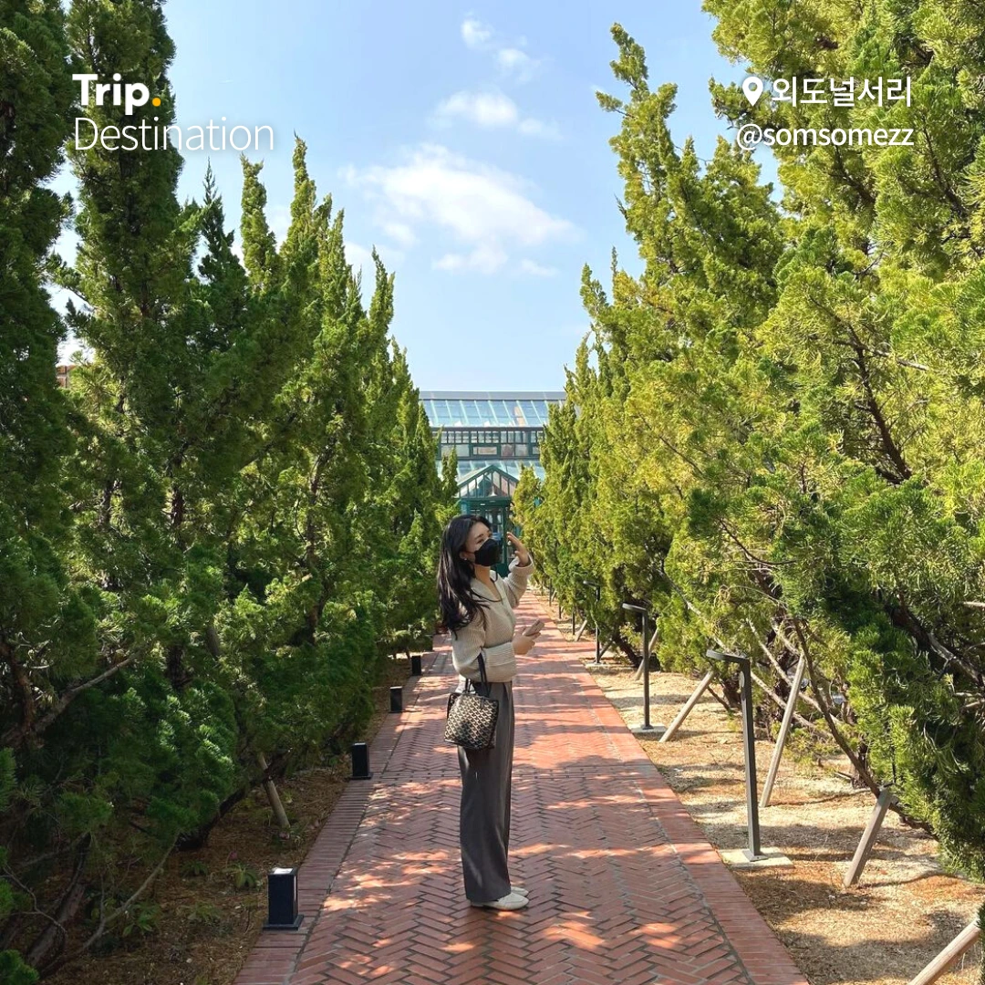 %ED%86%B5%EC%98%81%EA%B1%B0%EC%A0%9C%ED%95%AB%ED%94%8C%EB%AA%A8%EC%9D%8C.zip_03.png?type=w1200