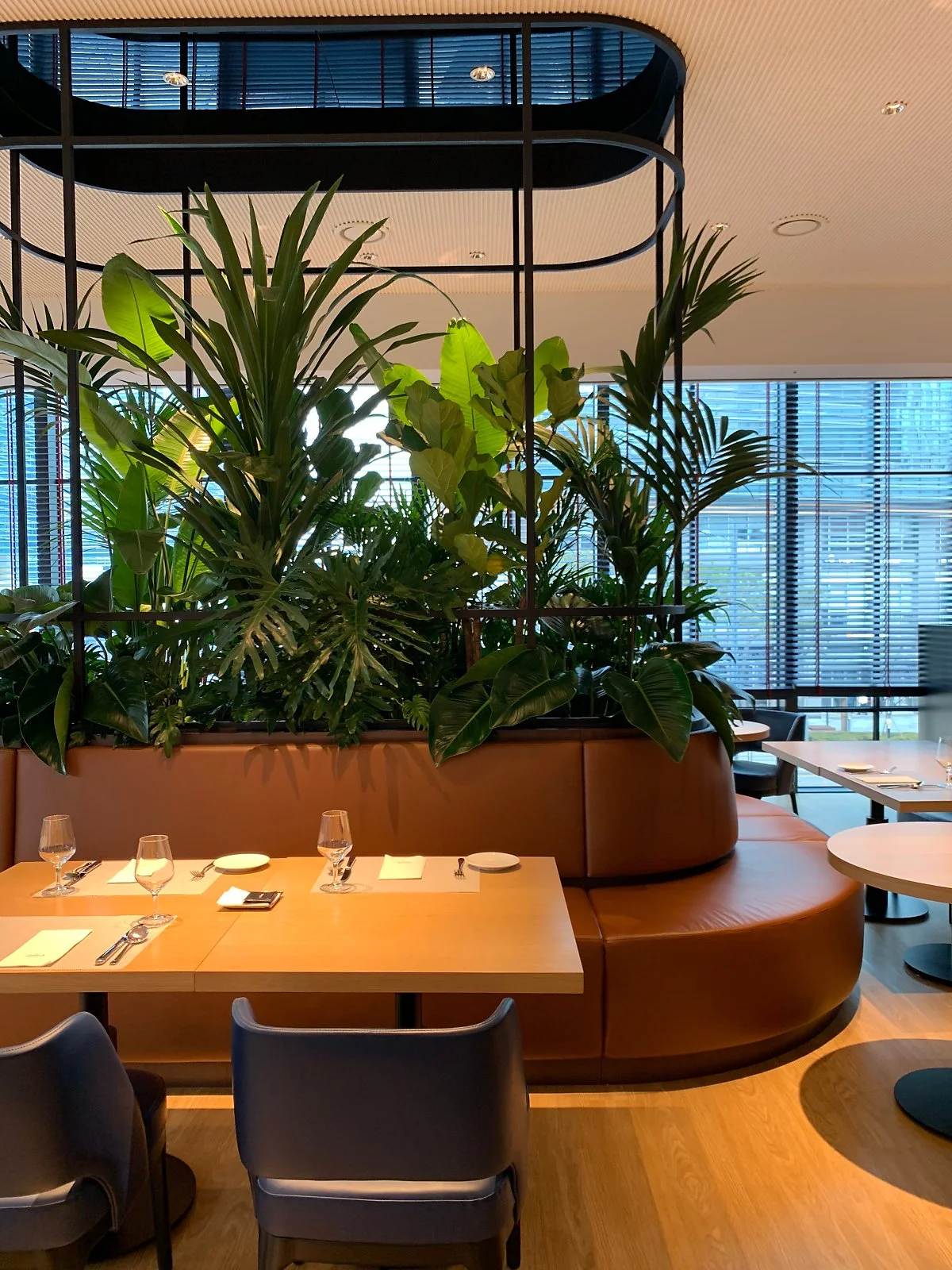 IMG_1817.JPG?type=w1200