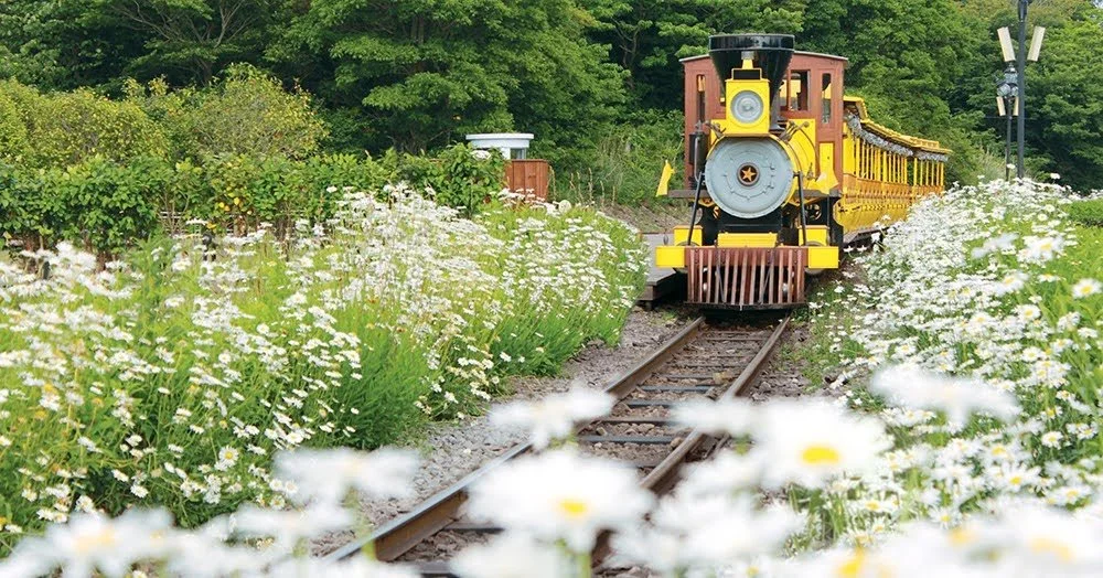 %EC%97%90%EC%BD%94%EB%9E%9C%EB%93%9C_2.jpg?type=w1200