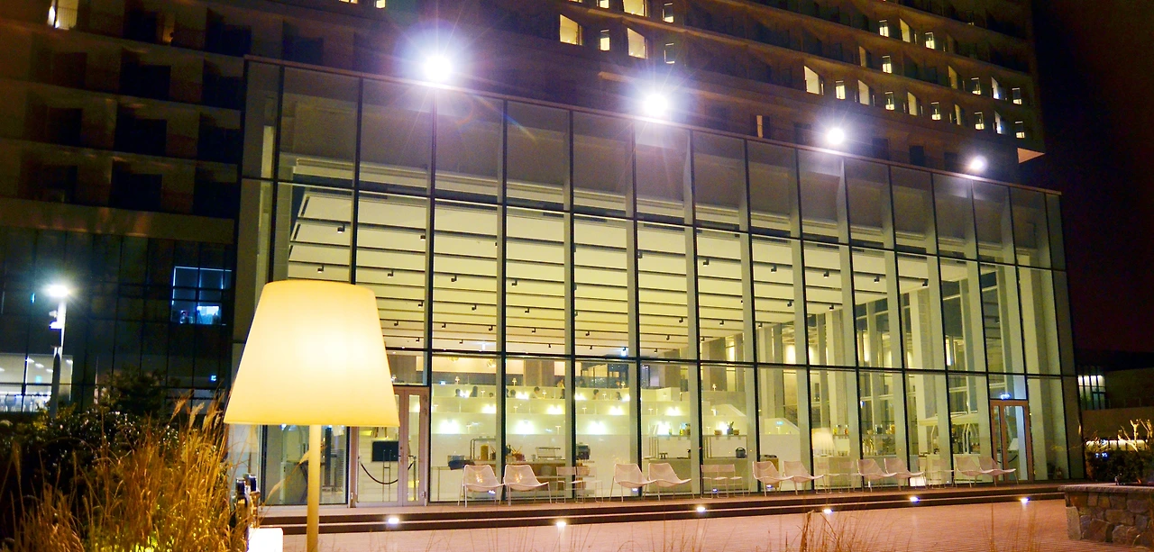 PLATZ RESTRANT (9).JPG