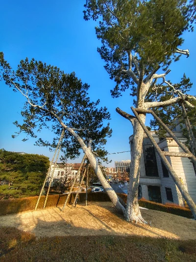 KakaoTalk_Photo_2023-01-06-00-00-32 002.jpeg