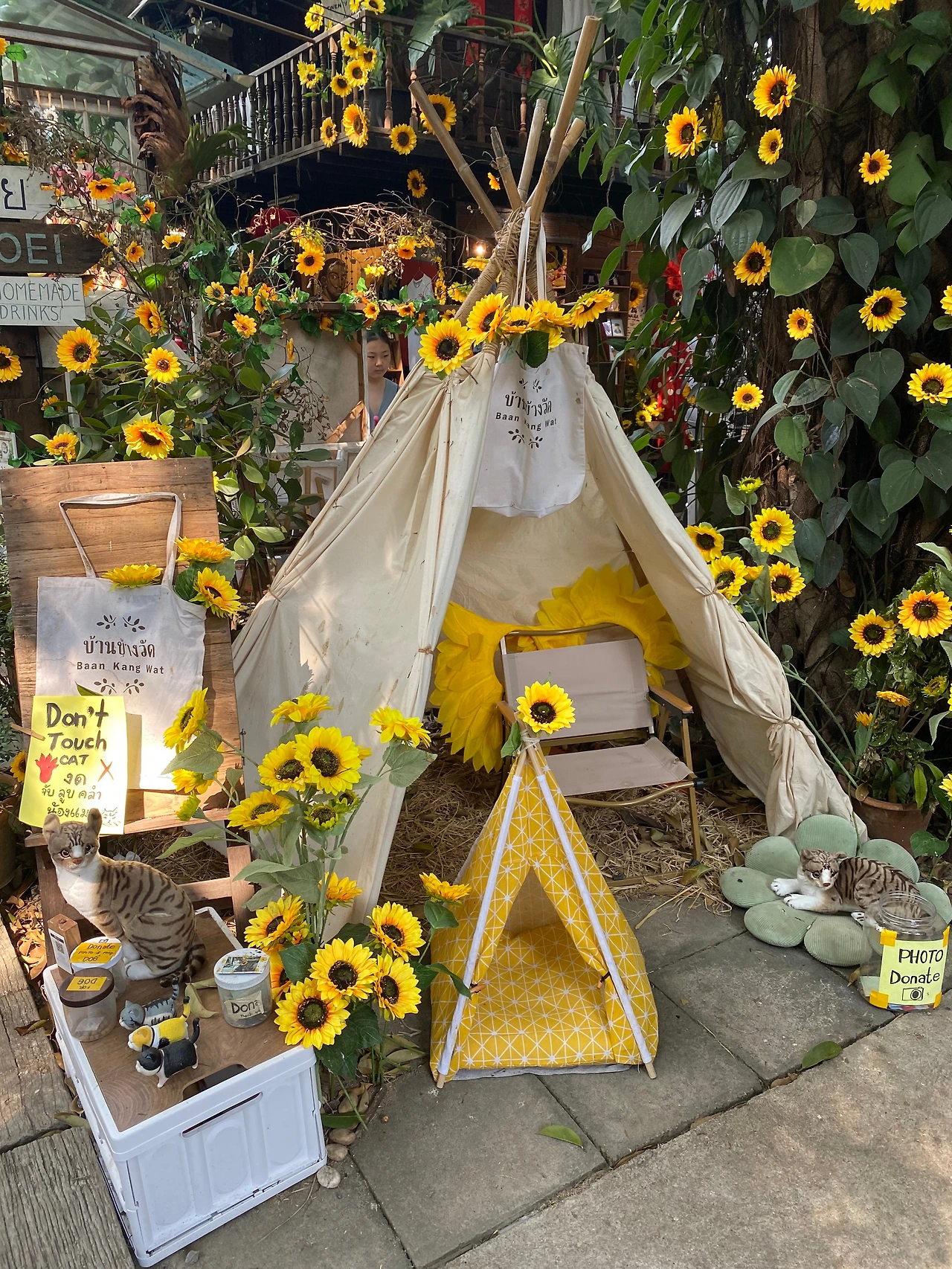 KakaoTalk_Photo_2023-01-29-20-48-10 007.jpeg