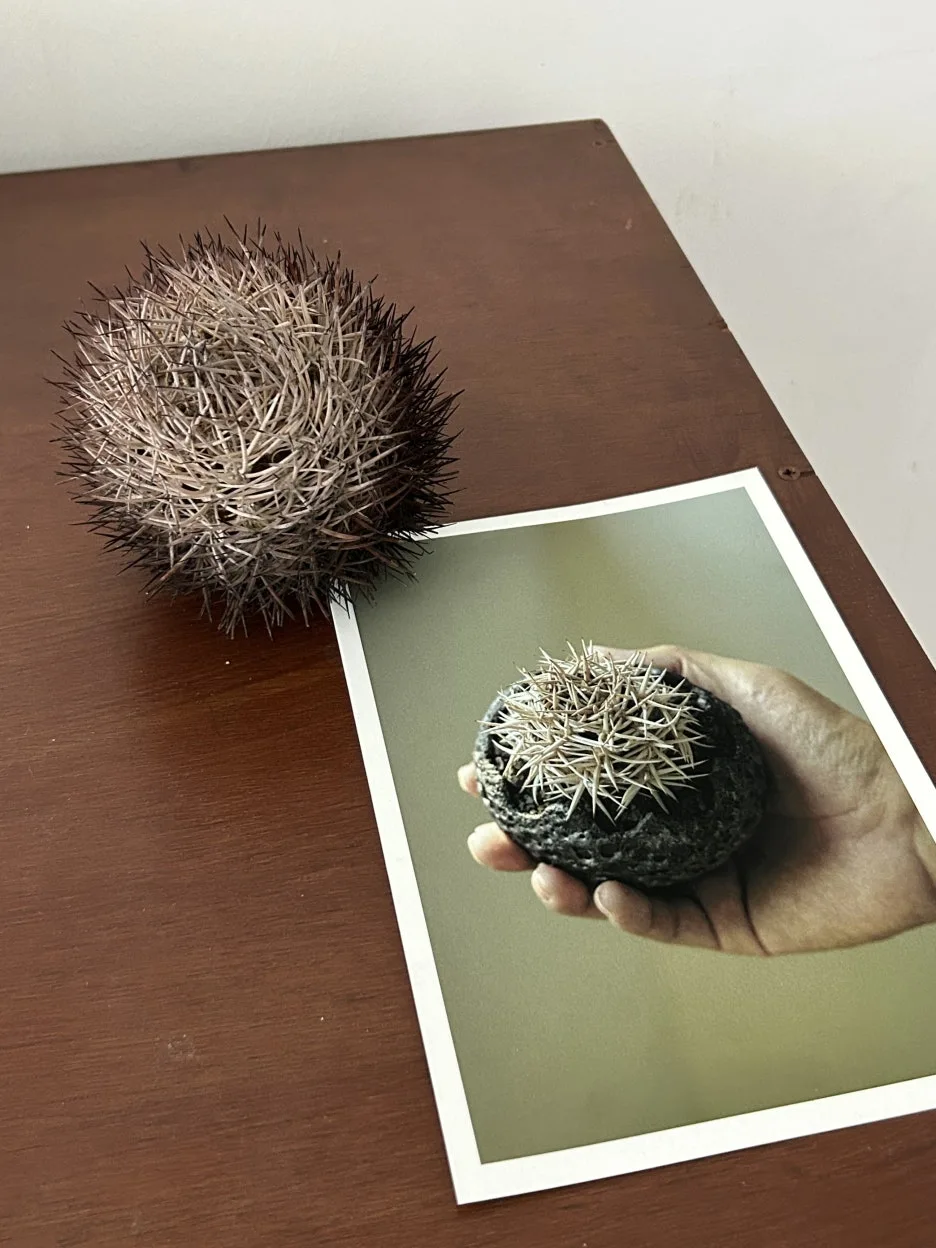 IMG_7206.jpeg?type=w1