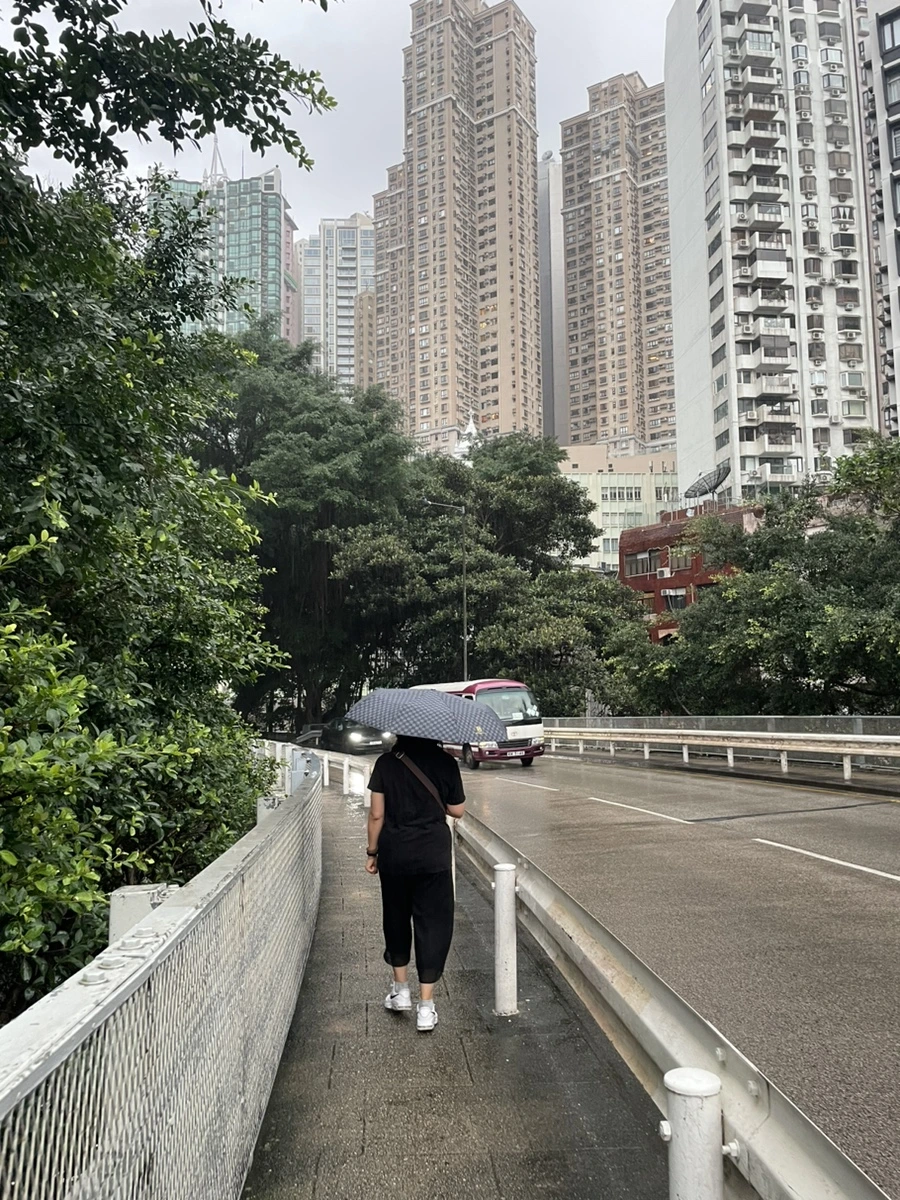 IMG_3156.jpg?type=w966