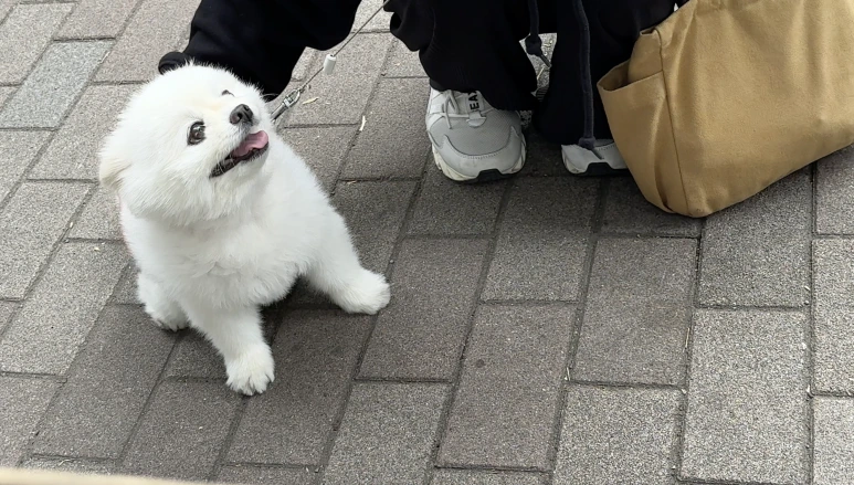 %EC%8A%A4%ED%81%AC%EB%A6%B0%EC%83%B7_2024-04-15_%EC%98%A4%ED%9B%84_4.35.10.png?type=w773