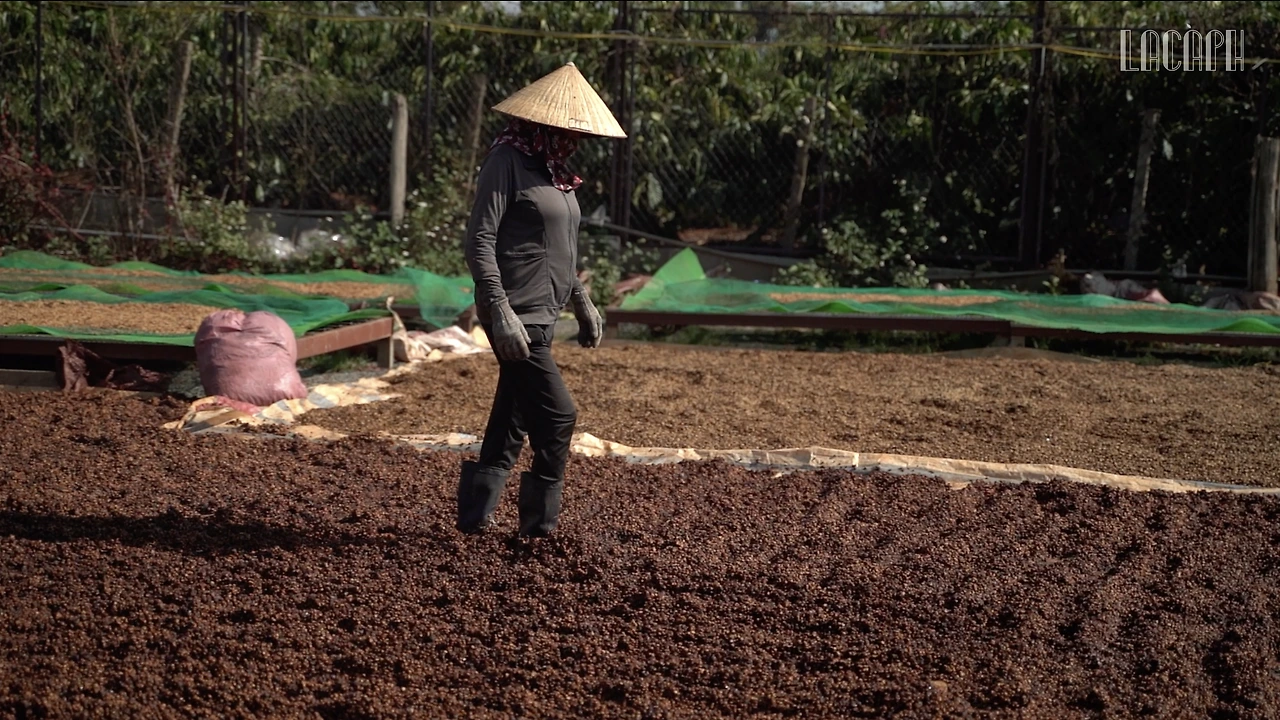 스크린샷 2023-01-18 오전 10.03.11.PNG