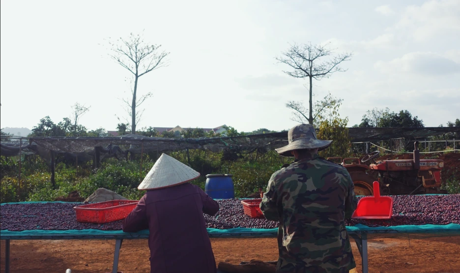 SE-c40c97a6-7c20-4af4-b5d9-01f4876827ed.png?type=w1