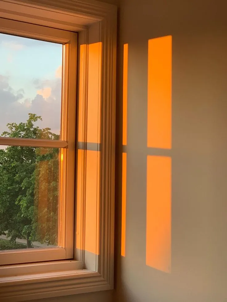 9a5f13ac68104fe9b5801a2c5ea46544.jpg?type=w1