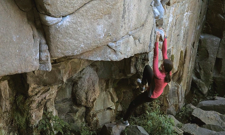 SE-7d1d7863-9c46-4aa9-8c06-30a5a6fe517e.png?type=w773