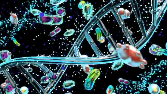 SE-0166003e-8e43-4fec-aa3b-08e62d68fe8b1.png?type=w773