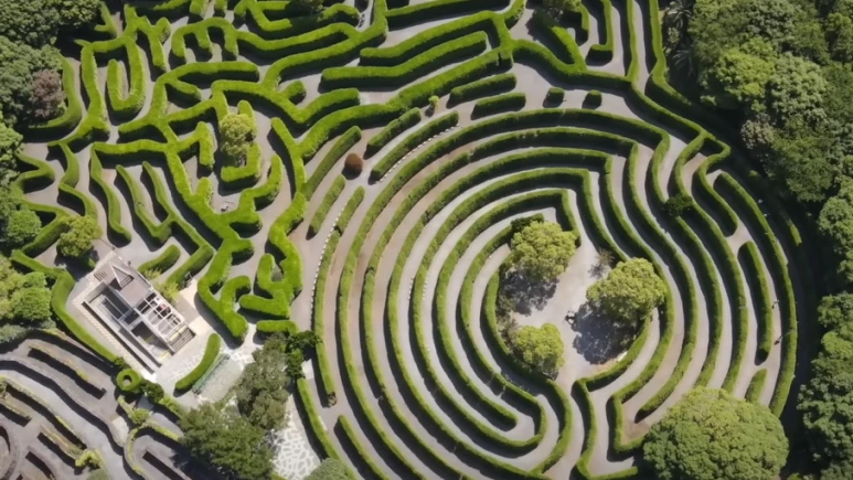 SE-493c2c3f-b411-422d-a10a-a97f08529d28.png?type=w773