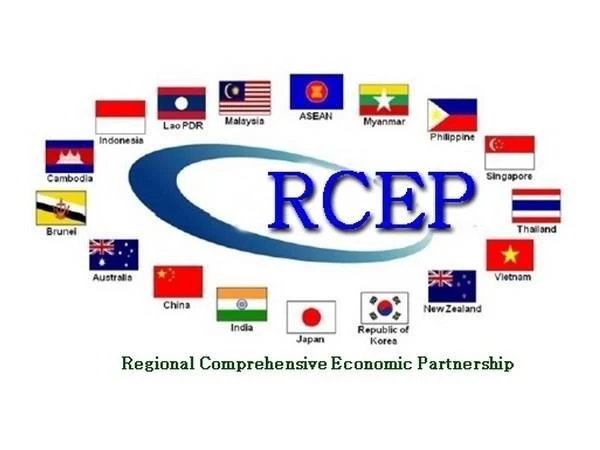 Singapore_hopeful_for_RCEP_finalisation_this_year___.jpg?type=w1