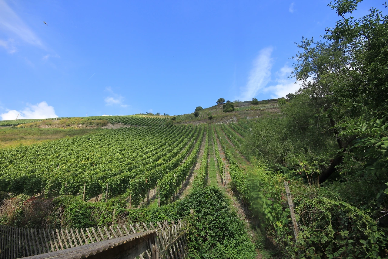 독일_바하바흐 (12).JPG