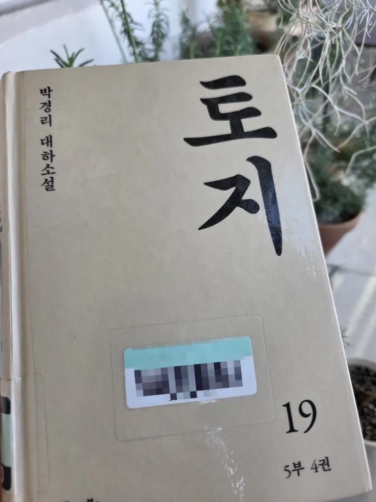 900%EF%BC%BF1740041425685.jpg?type=w773