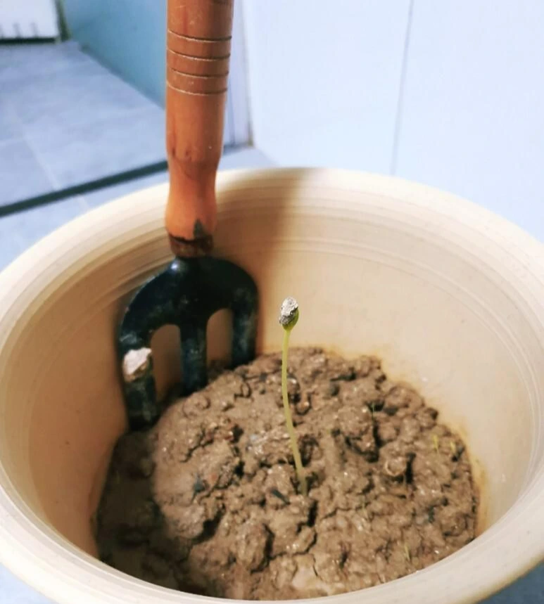 1633401053364.jpg?type=w773