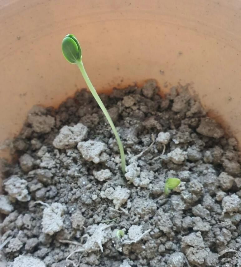 1633404398945.jpg?type=w773