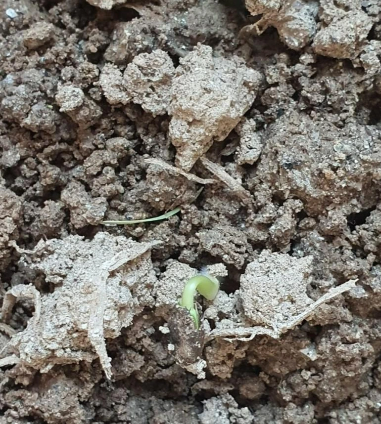 1633404385843.jpg?type=w773