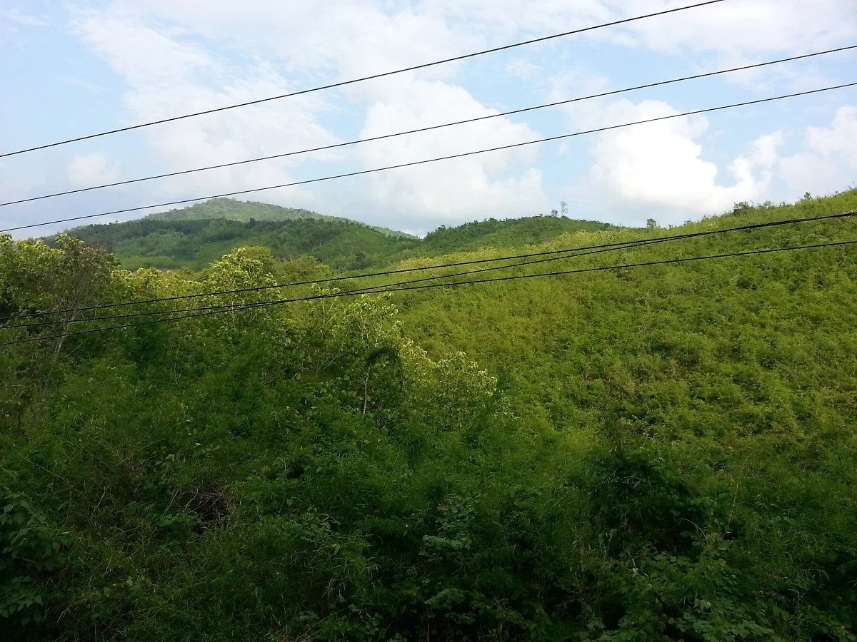 20150525_191313.jpg?type=w1200