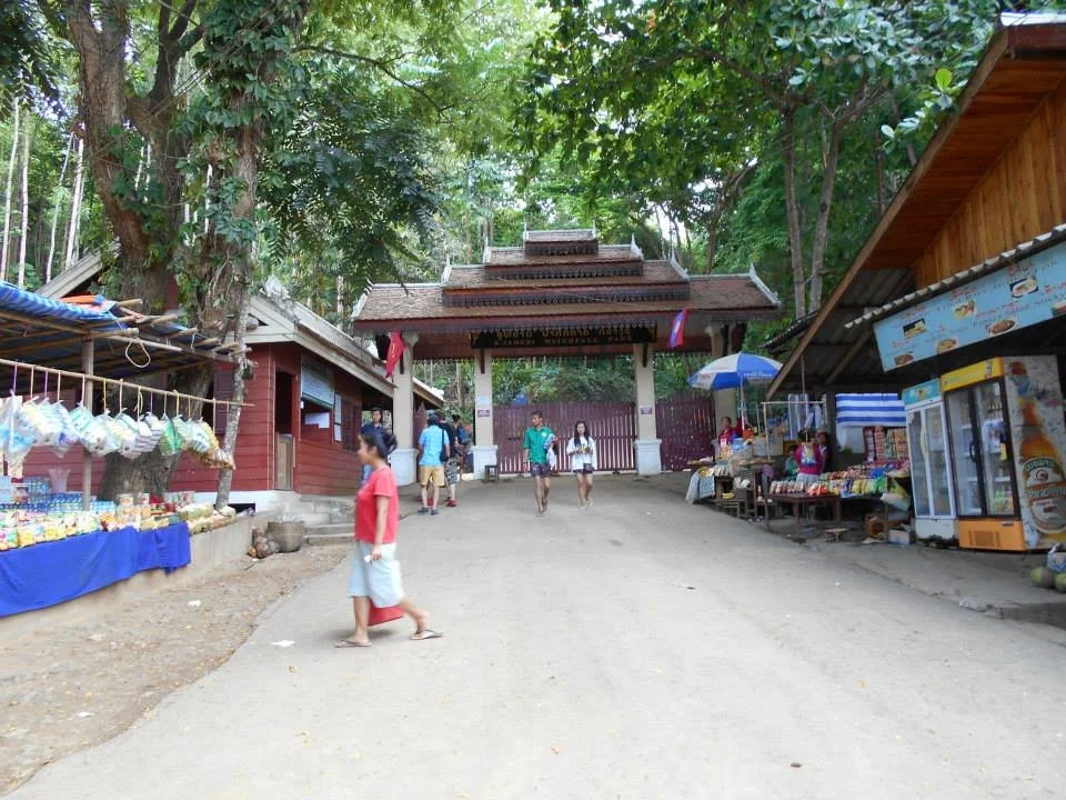 11350639_830797590302059_2902383805148989046_n.jpg?type=w1200