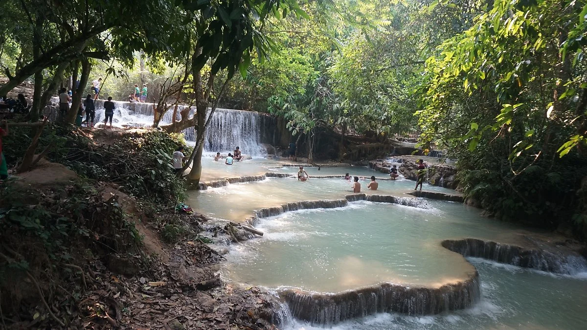 DSC04493.JPG?type=w1200