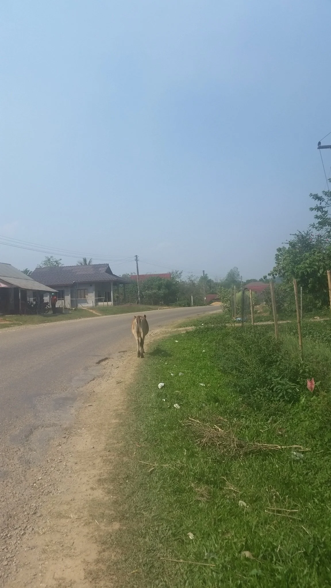 20150419_144756.jpg?type=w1200