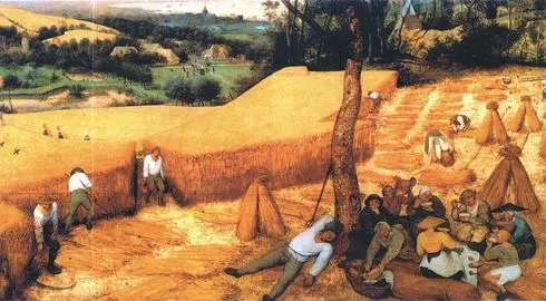 the harvester_Pieter Bruegel(1565).jpeg