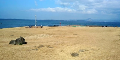 1711777745017.jpg?type=w580