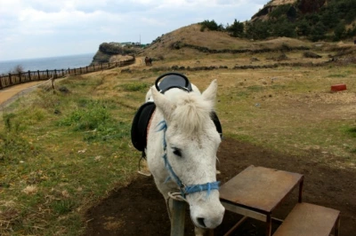 1711807942917.jpg?type=w580