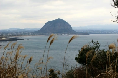 1711807942749.jpg?type=w580