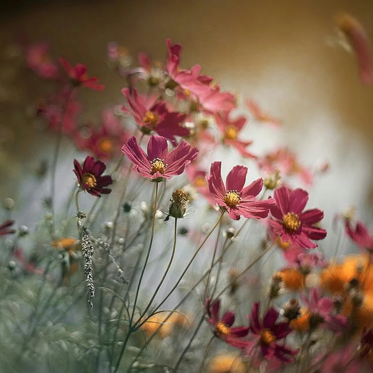 20210412_182530.jpg?type=w966