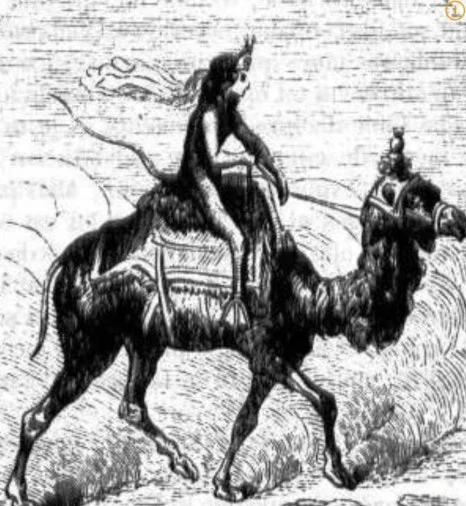 1720399329506.jpg?type=w466