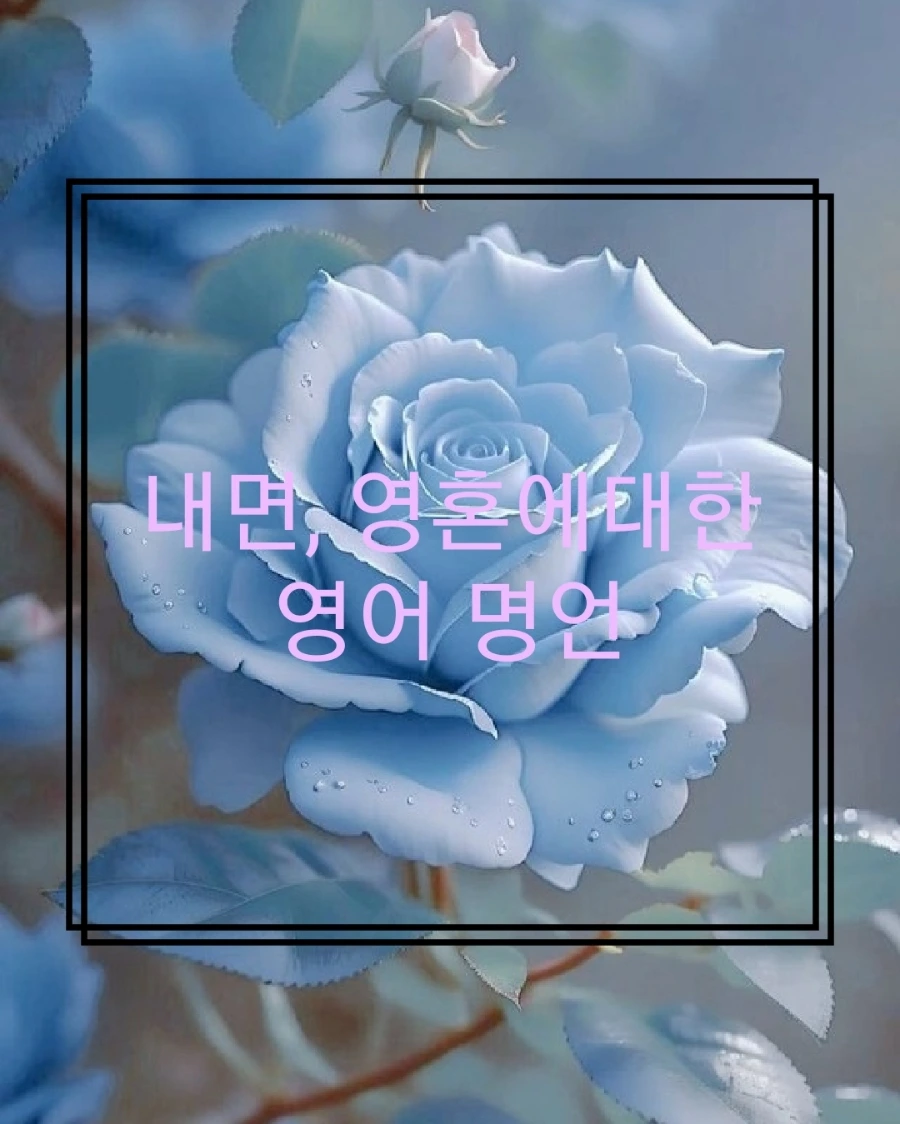 20240618104509.jpg?type=w966