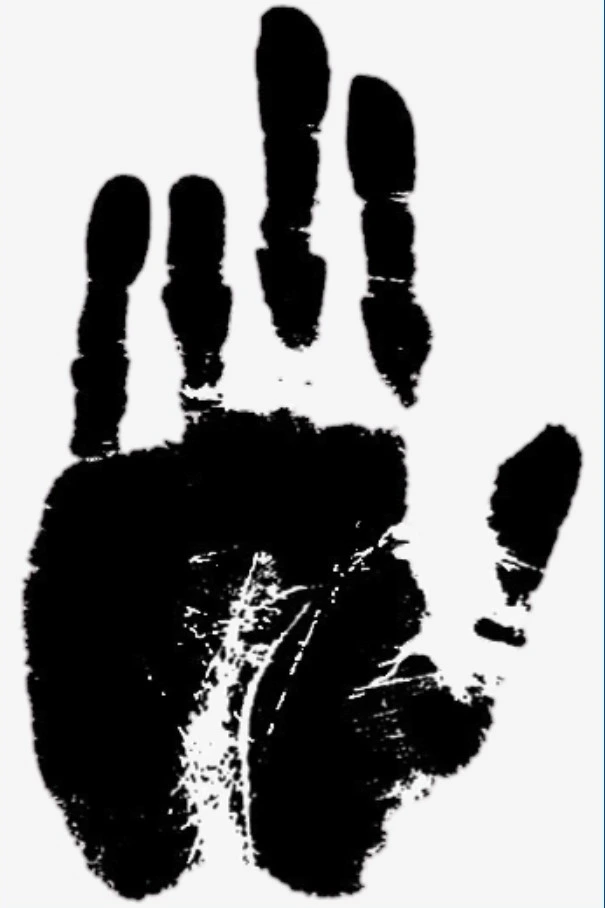 SE-d9ee3f84-11f6-11ed-a2b8-8369dfcb2529.jpg?type=w966