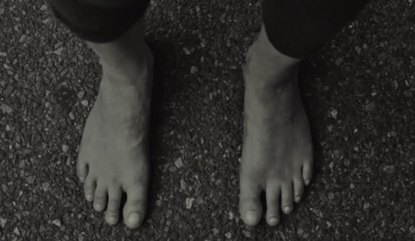 프란시스 하 5.PNG