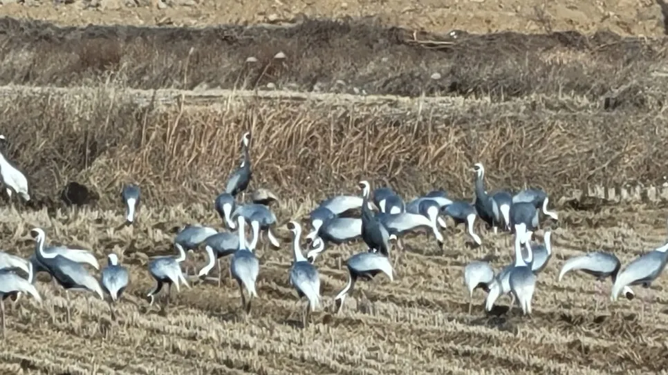 20221208_1410511.jpg?type=w966