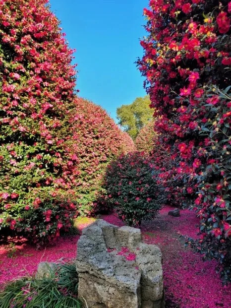 900%EF%BC%BF20250116%EF%BC%BF154055.jpg?type=w466