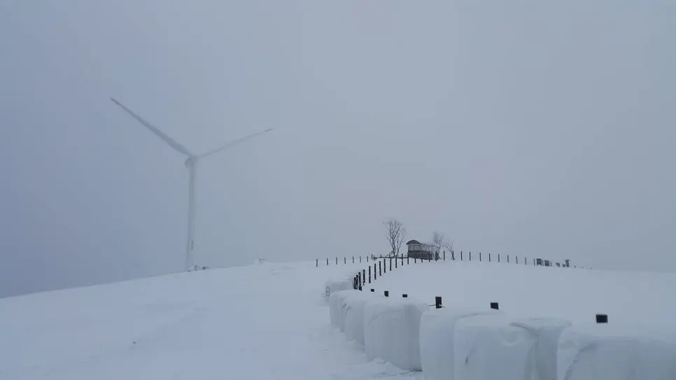 20161227_100758.jpg?type=w966