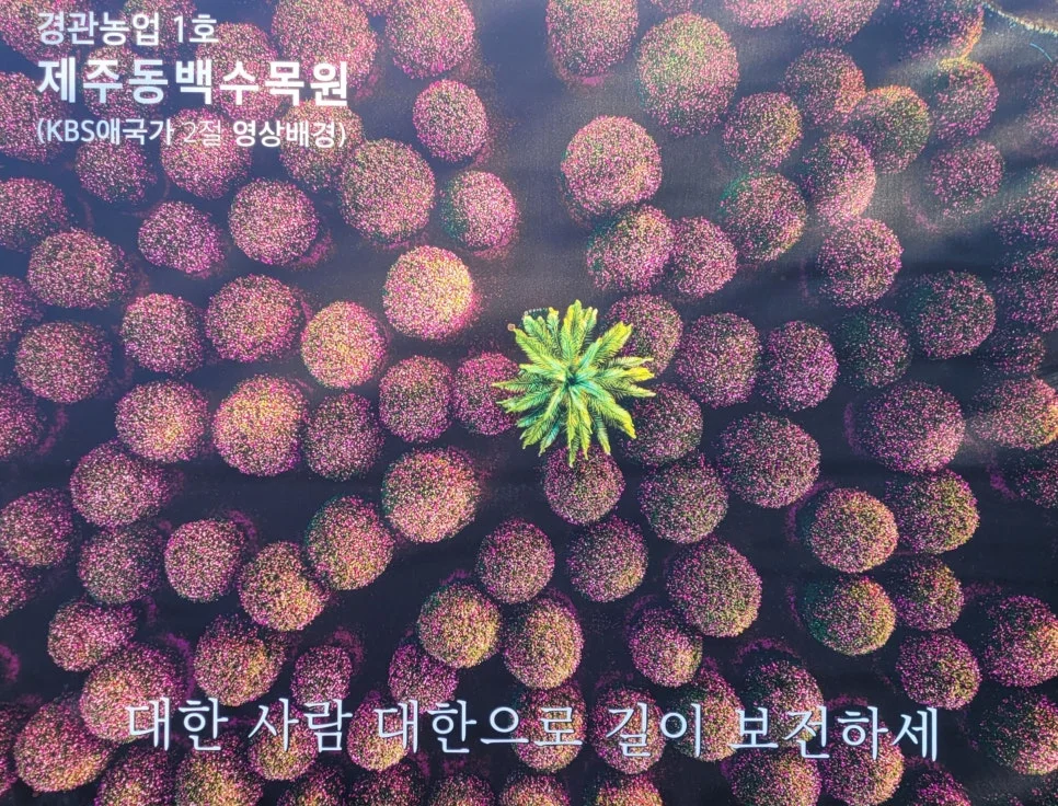 SE-5e5a2817-c096-49b6-a1a8-a1ee43aaf032.jpg?type=w966