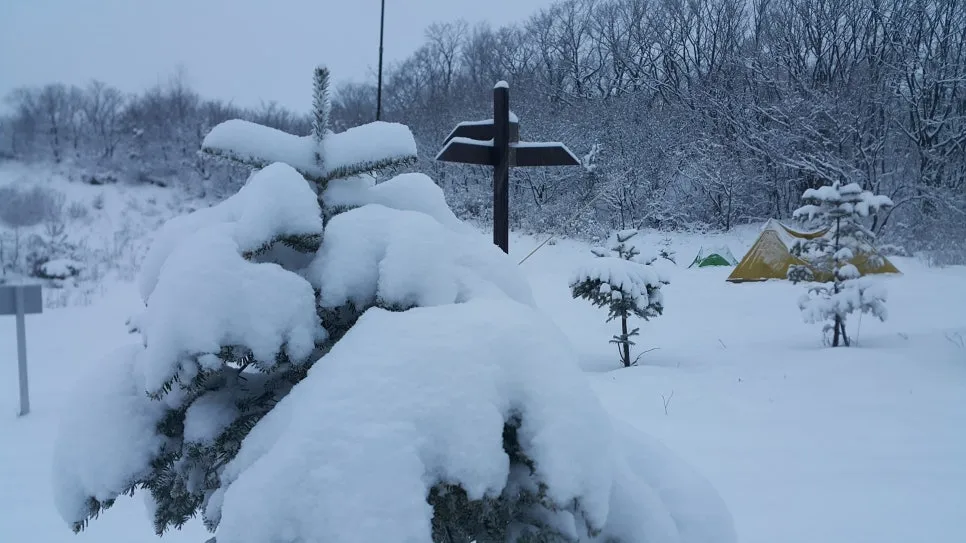 20161227_074120.jpg?type=w966