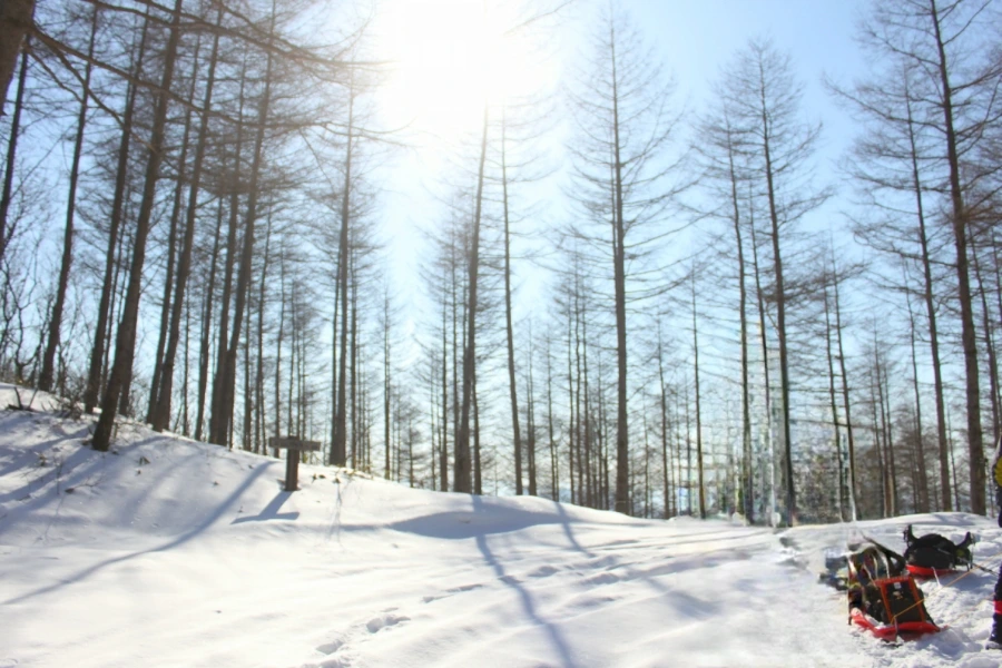 900%EF%BC%BFIMG%EF%BC%BF1284.JPG?type=w966